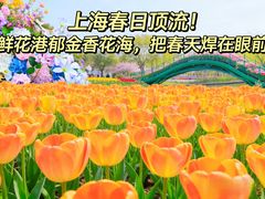 -上海鲜花港