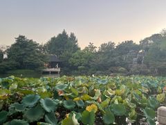 -杭州西子湖四季酒店·金沙厅
