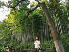 -杭州黄龙洞