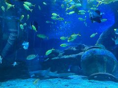 -太平洋海底世界