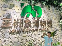 -野象谷景区
