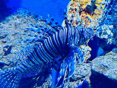 -石林冰雪海洋世界