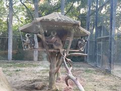-上海野生动物园