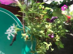 -何适山庄 ·可团建(水长城P2停车场店)