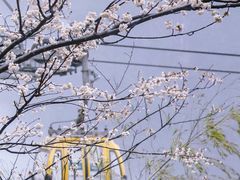 -萍乡武功山风景名胜区