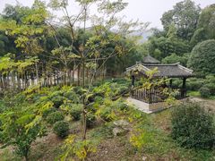 -大唐贡茶院
