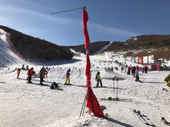 -多乐美地滑雪场