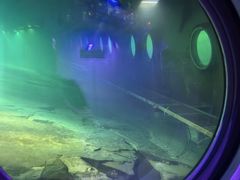 -白鹤梁水下博物馆