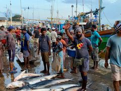 -尼甘布海鲜市场