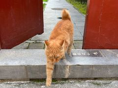 -北京颐和宾馆