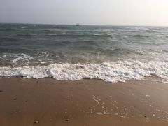 -碣石国家级海洋公园