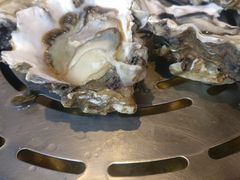 湛江生蚝（蒸汽）-日进一片海.生腌海鲜火锅.宵夜烧烤(三里屯总店)