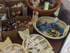 -威海大水泊国际机场