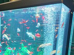 -雀蓝川菜(奥体广场店)