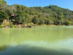 -广州白江湖森林公园