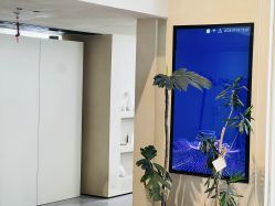 -KINI绮丽·美学肌SPA进口仪器专业店