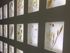 -予厘·推拿按摩·精油SPA(憩舍长安店)