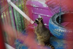 -萌宠亲子动物乐园(槐房万达店)