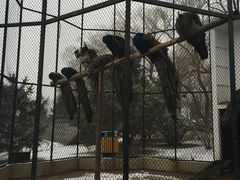 -月亮河温泉度假酒店