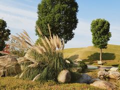 -南通洲际绿博园