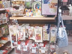 -FAELING PETS美天灵宠物(富力广场店)
