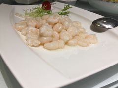-沪碟·精菜坊(闵行店)
