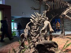 -自贡恐龙博物馆