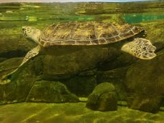 -福州罗源湾海洋世界旅游区