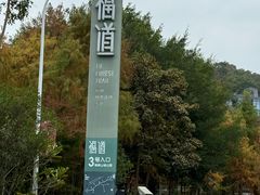 -福道