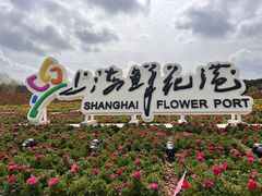 -上海鲜花港