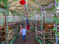 -兴芮温泉度假区