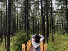 -塞罕坝国家级自然保护区