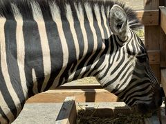 -水上乐园·欢乐世界