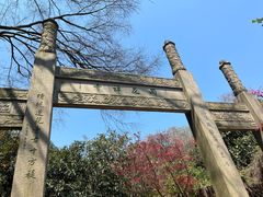 -雨花胜境