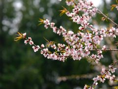 -白水寺森林公园