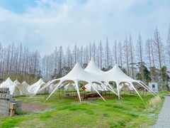 -前小桔亲子创意农场·草莓采摘·露营烧烤