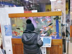 -弈海围棋学堂(夕照寺校区)