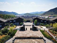 -大唐贡茶院