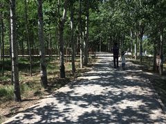 -北京麋鹿生态实验中心