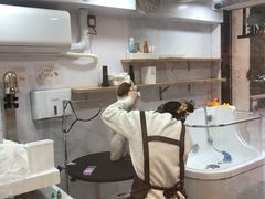 -佐罗家宠物馆·猫文化馆(紫霞路店)