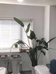 -上海首尔丽格医疗美容医院