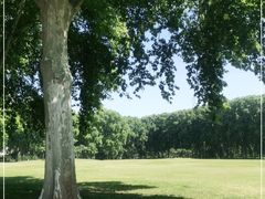 -河南省黄河迎宾馆