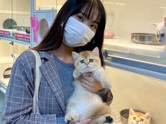 -lincat·猫舍(广州店)