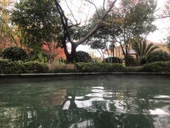 -苏州湾王焰温泉度假酒店