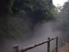 -川西竹海景区