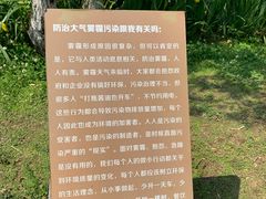 -白鹭湾湿地公园