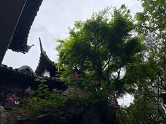 -豫园