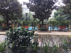 外部环境-榕树上·瑜伽普拉提