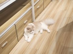 -听TA说宠咖·宠物生活馆(天韵水岸店)