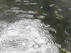 -西湖游船
